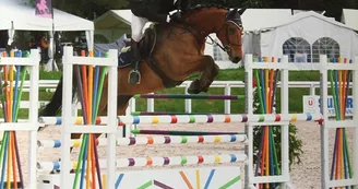 14079883_1680271985528679_6649962097342343911_n