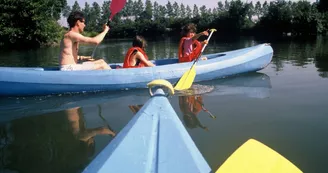 Kayaks sur le Loir-02