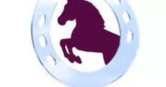 centre-equestre-le-carrousel-bernay-en-champagne-72-LOI
