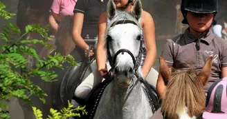 Equitation au club hippique de Mamers