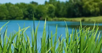 Le Loir la Chatre sur le Loir