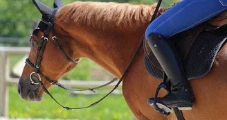 haraslapelois1-LOI72-2