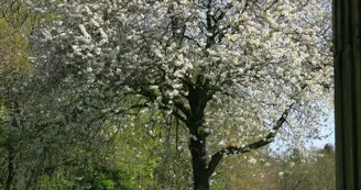 Parc animalier Saint-Léonard-des-Bois