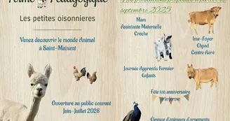 571176768_1132930458963789_5103565720021333922_n