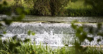 PCU879000541 - _MG_8560