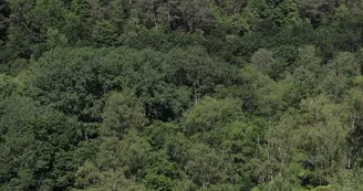 Vallée de Misère à Saint-Léonard-des-Bois