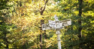 foret-de-berce-sarthe-jupilles