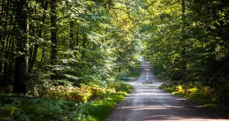 foret-de-berce-sarthe-velo-route