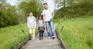 Marais de Cré sur Loir