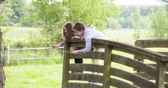 Marais de Cré sur Loir