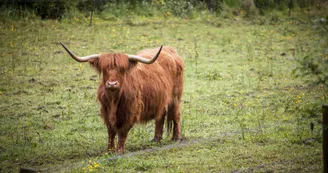 Marais de Cré sur Loir