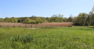 PNA879001287 - RNR Dureaux-Vaas 1