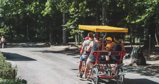 Rosalies au Lac de Sillé