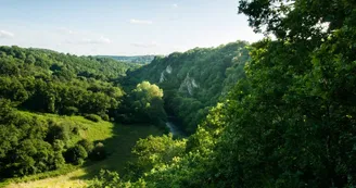 Belvédère des Toyères - Saint-Pierre-des-Nids (Mayenne)
