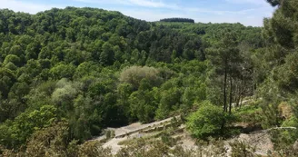 Pierrier de la Vallée de Misère - Saint-Léonard-des-Bois (Sarthe)