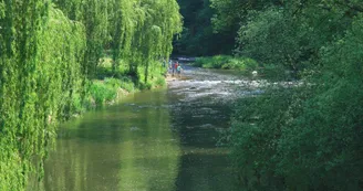 La rivière Sarthe à Saint-Léonard-des-Bois (Sarthe)