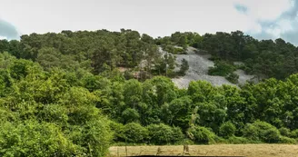 Pierrier du Grand Patis - Saint-Léonard-des-Bois (Sarthe)