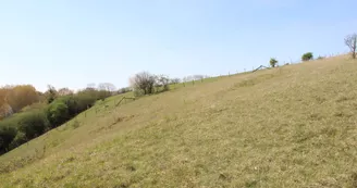 PNAPDL072V500UQ5 - RNR tessé-Villaine la carelles 3