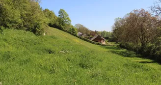 PNAPDL072V502OY2 - IMG_8148