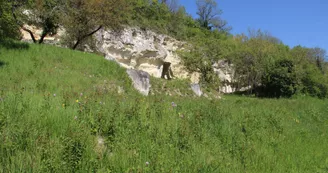 PNAPDL072V502OY2 - RNR cafort-luché pringé 4