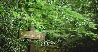 Forêt domaniale de Sillé 