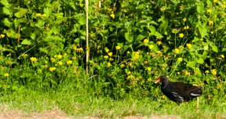 La-Monnerie-la-fleche