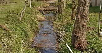 110073_parigne_l_eveque