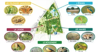 espace-naturel-sensible-1