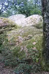 Rochers à cupules