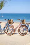 Location de vélos - Beach Bikes - Grand-Village