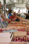 Marché de Davézieux