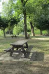 Aire de pique-nique - Plage