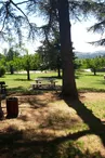 Aire de pique nique