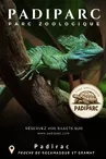 Basiliscus plumifrons