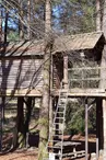 la cabane dans les arbres