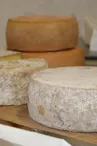 Ferme fromagère du Pays de Pail